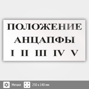 ���� (������) ���������� ��������, S55 (������, 250�140 ��)